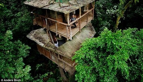 treehouse1