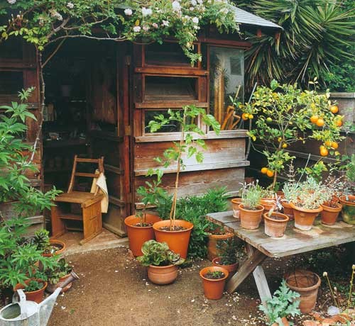 yard6
