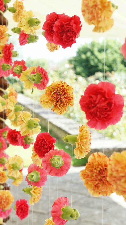 朵朵鲜花
