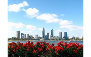西澳大利亚赏花7天之旅