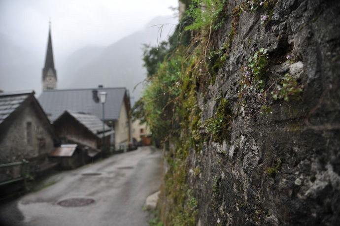 蜜月旅行