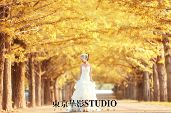 婚纱摄影